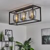 Verbania Ceiling Light black, 3-light sources