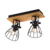 Leuchten-Direkt TARO Ceiling Light black, 2-light sources