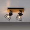 Leuchten-Direkt TARO Ceiling Light black, 2-light sources