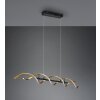 Trio Sequence Pendant Light LED brass, black, 1-light source