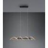 Trio Sequence Pendant Light LED brass, black, 1-light source