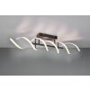 Trio Sequence Ceiling Light LED aluminium, black, 1-light source