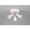 Trio Steam Ceiling Light Antique, white, 3-light sources