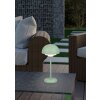 Reality Elliot Table lamp LED green, 1-light source