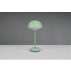 Reality Elliot Table lamp LED green, 1-light source