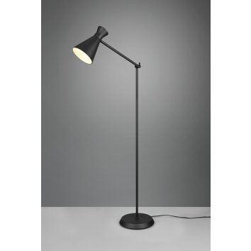 Reality Enzo Floor Lamp black, 1-light source