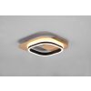 Trio Lugo Wall Light LED black-gold, 1-light source