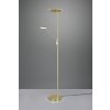 Trio Brantford UpLighter LED brass, 1-light source