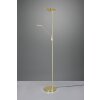 Trio Brantford UpLighter LED brass, 1-light source