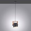 Leuchten-Direkt CUP Pendant Light black, 1-light source