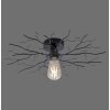 Leuchten-Direkt LIMB Ceiling Light black, 1-light source