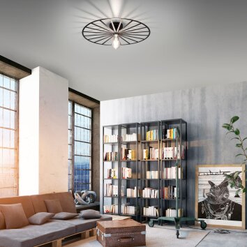 Leuchten-Direkt SPIKE Ceiling Light black, 1-light source