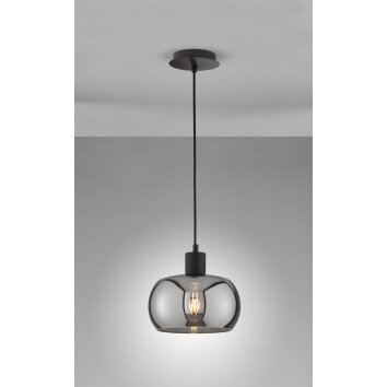 Fischer & Honsel Dima Pendant Light black, 1-light source