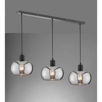 Fischer & Honsel Dima Pendant Light black, 3-light sources