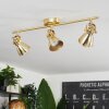 Salinas Ceiling Light brass, 3-light sources