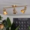 Salinas Ceiling Light brass, 3-light sources