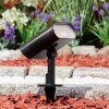 Usmagama Solar garden spotlight LED black, 1-light source, Motion sensor, Colour changer