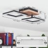 Walschbronn Ceiling Light LED Ecru, black, 1-light source