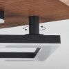 Walschbronn Ceiling Light LED Ecru, black, 1-light source