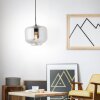 Brilliant Kleon Pendant Light black, 1-light source