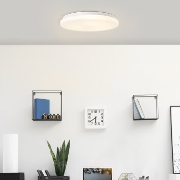 Brilliant Alon Ceiling Light LED white, 1-light source, Motion sensor