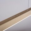 Paul Neuhaus PURE-MOTO Pendant Light LED brass, 3-light sources, Remote control
