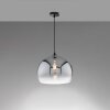 Fischer & Honsel Amos Pendant Light black, 1-light source
