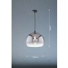Fischer & Honsel Amos Pendant Light black, 1-light source