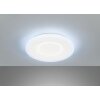 Fischer & Honsel Bolia Ceiling Light LED white, 1-light source, Remote control