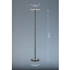 Fischer & Honsel Dent Floor Lamp LED black, 1-light source