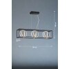 Fischer & Honsel Gisi Pendant Light LED black, 3-light sources, Remote control