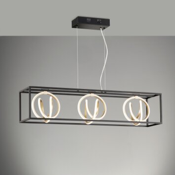 Fischer & Honsel Gisi Pendant Light LED black, 3-light sources, Remote control
