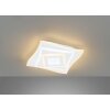 Fischer & Honsel Hero Ceiling Light LED white, 1-light source, Remote control