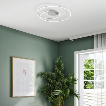 Fischer & Honsel Holy Ceiling Light LED matt nickel, 1-light source, Remote control