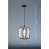 Fischer & Honsel Nayla Pendant Light black, 1-light source