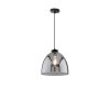 Fischer & Honsel Ren Pendant Light black, 1-light source