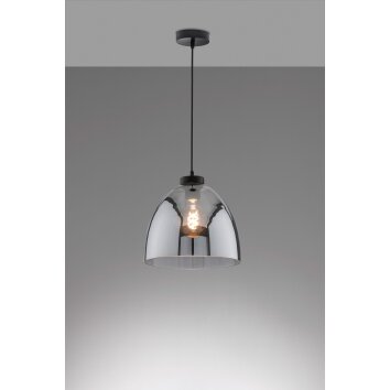 Fischer & Honsel Ren Pendant Light black, 1-light source