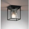 Fischer & Honsel Samu Ceiling Light black, 1-light source