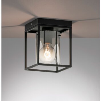 Fischer & Honsel Samu Ceiling Light black, 1-light source