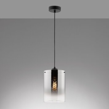 Fischer & Honsel Samu Pendant Light black, 1-light source
