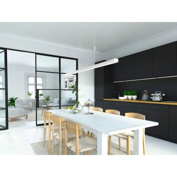 Fischer & Honsel Vito Pendant Light LED matt nickel, 1-light source