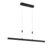 Fischer & Honsel Vito Pendant Light LED black, 1-light source