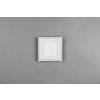 Reality Carus Ceiling Light LED white, 2-light sources