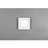 Reality Carus Ceiling Light LED white, 2-light sources