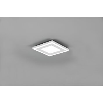 Reality Carus Ceiling Light LED white, 2-light sources