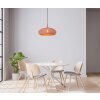 Lucide RAYCO Pendant Light pink, 1-light source