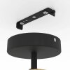 Eglo BASILDON Ceiling Light black, 1-light source