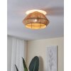 Eglo ALDERNEY Ceiling Light black, 1-light source
