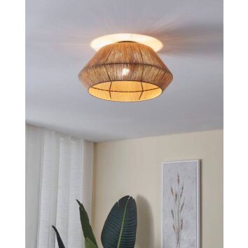 Eglo ALDERNEY Ceiling Light black, 1-light source