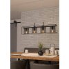 Eglo CATTERICK Pendant Light black, 4-light sources